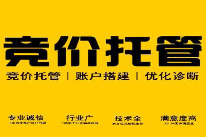 SEM托管公司案例分享：提升广告投放效果的关键步骤